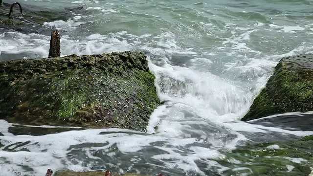 波视频素材