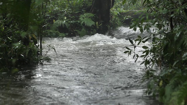 水流视频素材