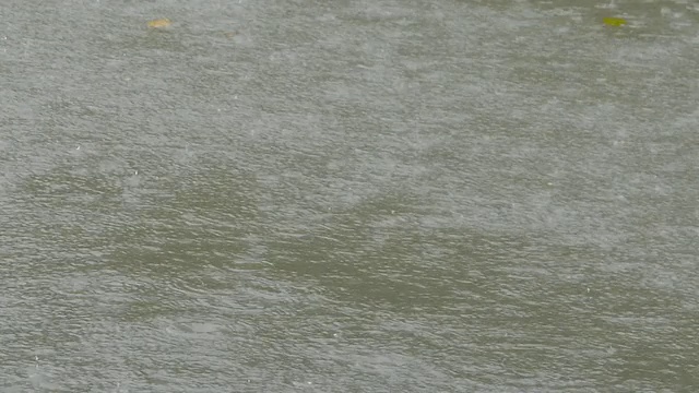 雨滴视频素材