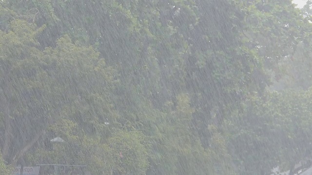 大雨视频素材