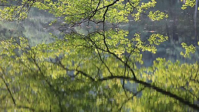 七湖(Yedigoller)，土耳其视频素材