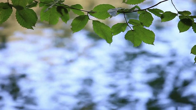 七湖(Yedigoller)，土耳其视频素材