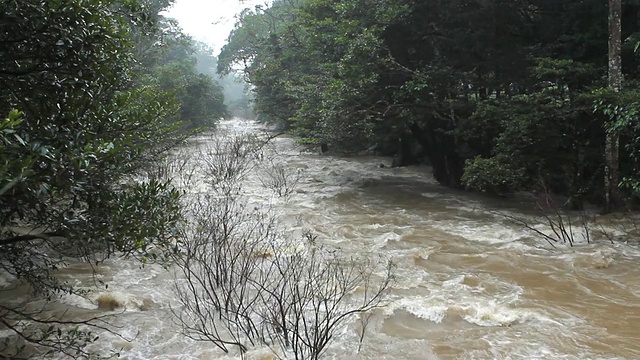 水流视频素材