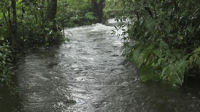 水流视频素材