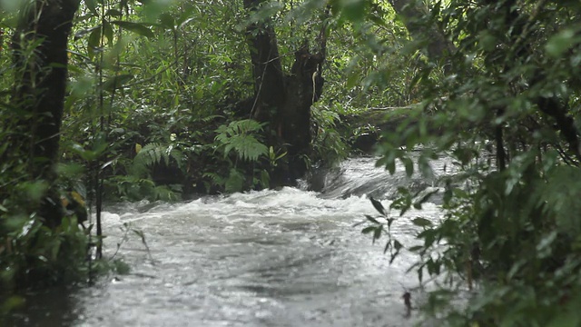 水流视频素材