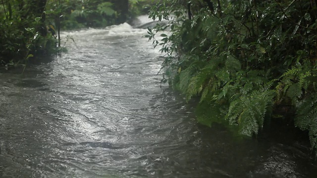 水流视频素材