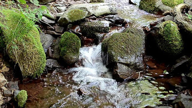 小河流(高清)视频素材