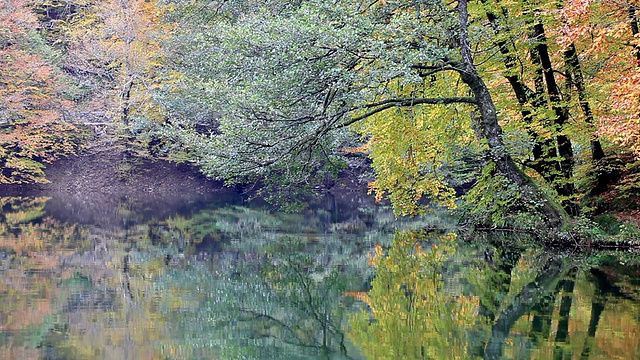 七湖(Yedigoller)，土耳其视频素材