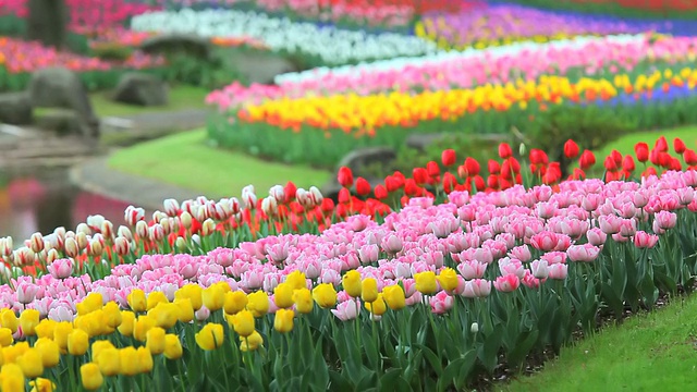 花园视频素材