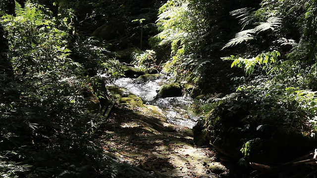 高山流水视频下载