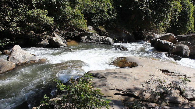 高山流水视频下载