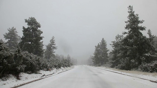 白雪皑皑的乡间小路视频素材