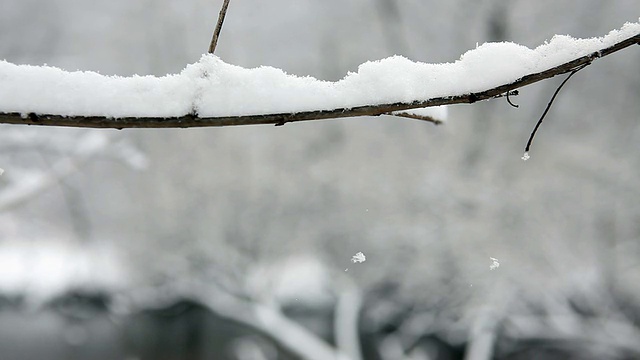 雪花视频下载