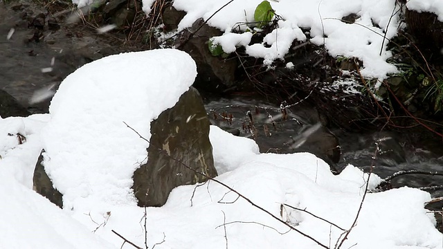 融雪中的流水视频素材