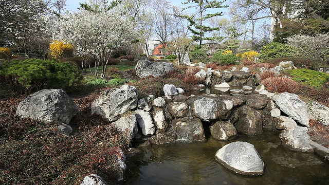 日式花园视频素材