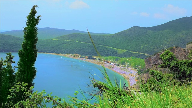 植物和海景视频素材