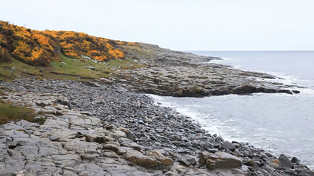 海岸线在Dunstanburgh视频素材