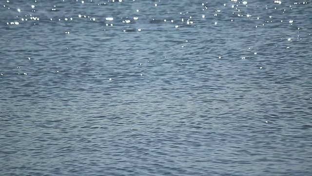 太阳反射在海面上视频素材