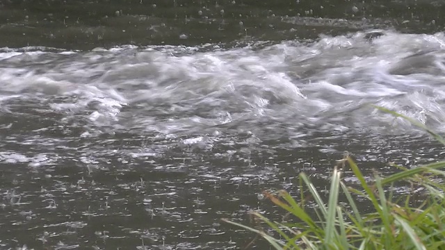 河在雨视频素材