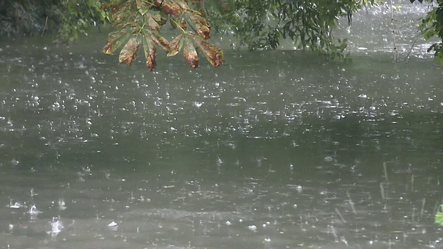 河在雨视频下载