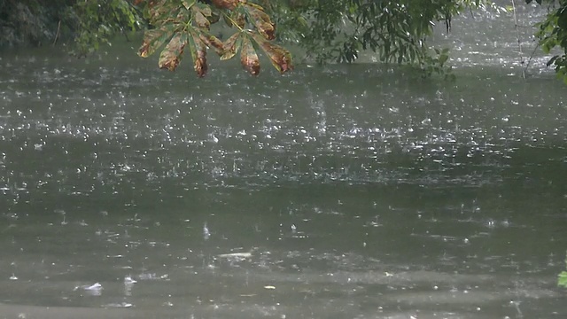 河在雨视频下载