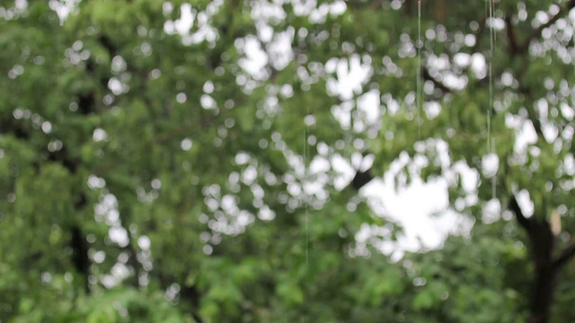 雨滴的屋顶和绿树的背景视频素材