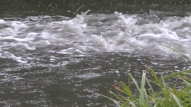 河在雨视频下载