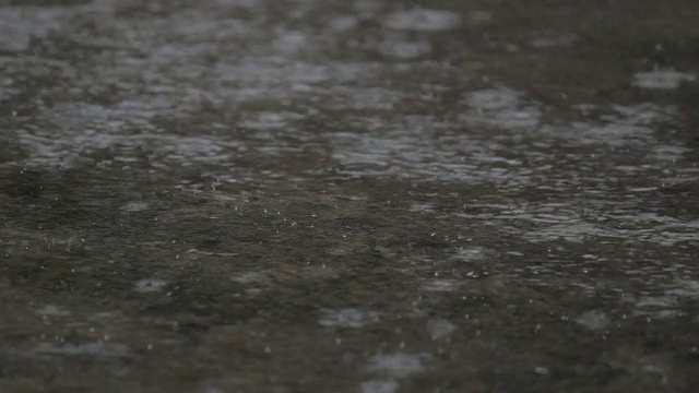 雨天视频下载