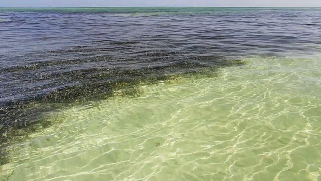 浅潮视频素材