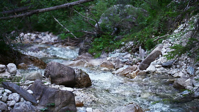 森林中的水流视频素材