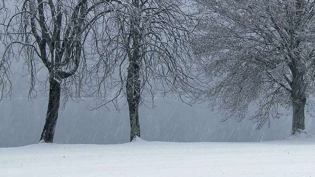 高清:下雪的天视频素材