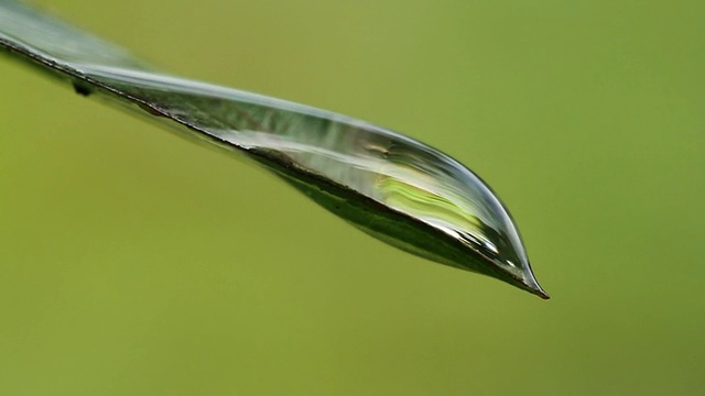 水滴视频素材