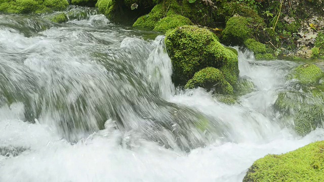 长满青苔的河视频素材