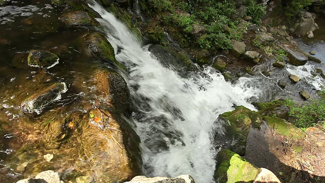 淡水视频素材