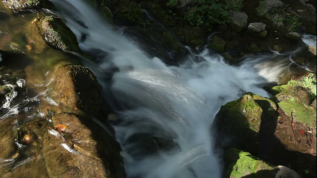 森林河瀑布-时间流逝视频素材