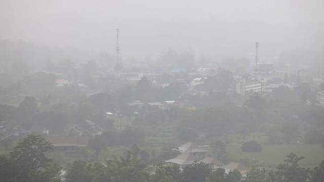 森林中大雨视频素材