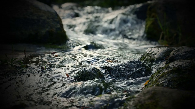 溪流-特写视频素材