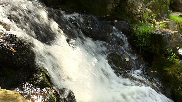森林河瀑布+音频视频素材