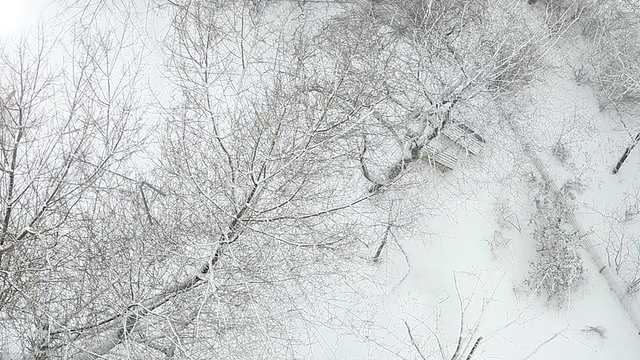 降雪与阳光视频素材