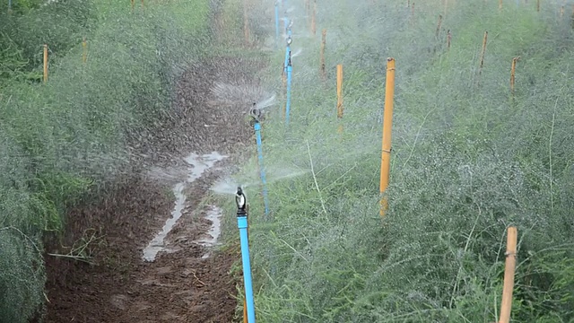 农田洒水器。视频素材