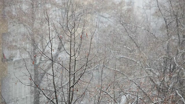 强降雪视频素材