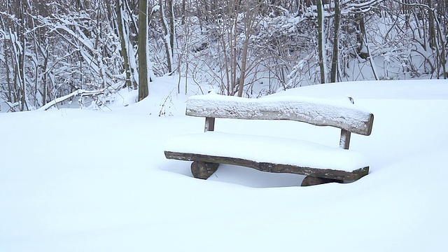 公园长椅上的雪视频素材