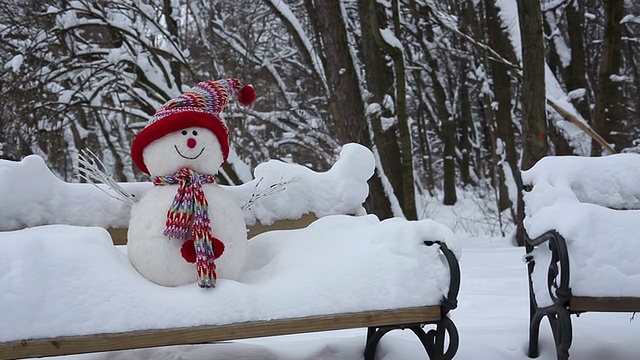 雪人坐在公园的长凳上视频素材