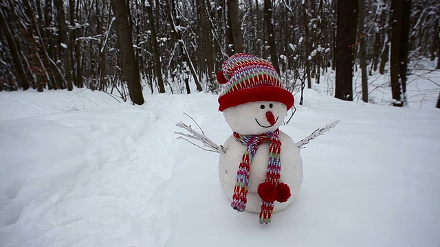 冬季景观中的雪人视频素材