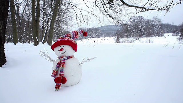 冬季景观中的雪人视频素材