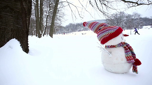 冬季景观中的雪人视频素材