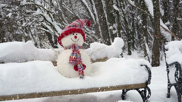 雪女和雪花视频素材