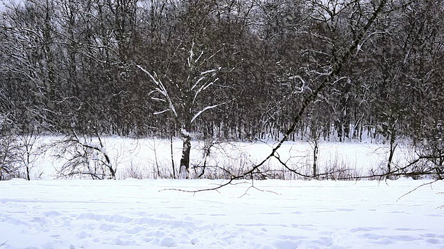 越野滑雪视频素材