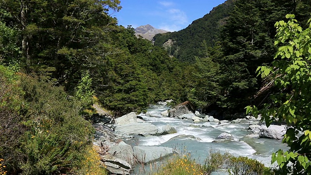 新西兰瓦纳卡的罗布罗伊冰川轨道上的河流视频素材