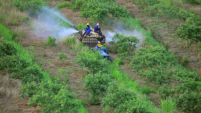 农民在田间喷洒农药或肥料视频素材